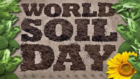 World Soil Day 2023 Soil And Water A Source Of Life World Soil Day