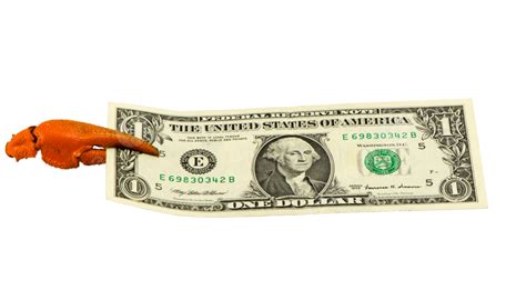 Isolated Us Dollar Banknote Featuring A Crab Claw Balance Bill Claw