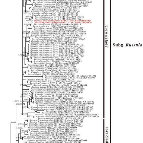 The Nrits Phylogenetic Tree Obtained From The Bayesian Analysis