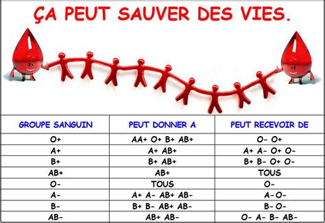 Les Groupes Sanguins D Finissent Des Cat Gories D Individus Suivant La