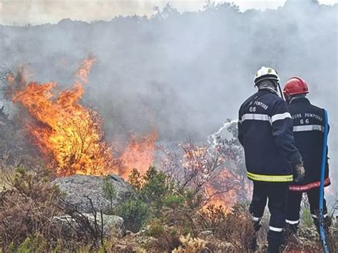 Feux De For Ts Le Gouvernement Examine Les Mesures Relatives La