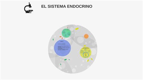 EL SISTEMA ENDOCRINO By Juan Carlos De Los Santos Amuedo