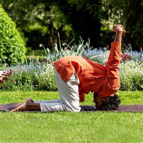 Cours de Yoga Krishna Akaya cours de yoga Ayurvéda Grenoble