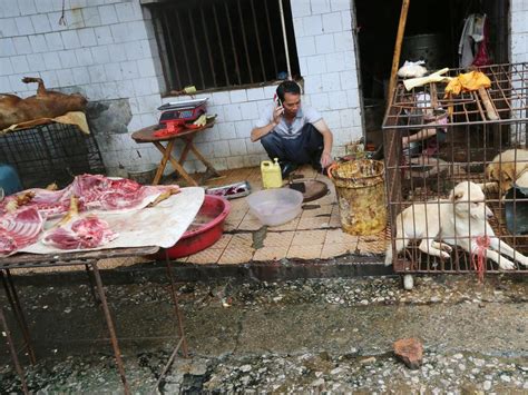 Coronavirus Chinese Wet Markets Still Operation Despite Covid 19
