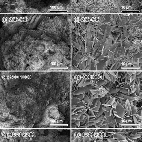 Representative Sem Micrographs Of Ocp Ag Foams With Sizes Of A B