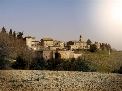 Studio MAM Cantina Vinicola Il Colombaio Di Santa Chiara