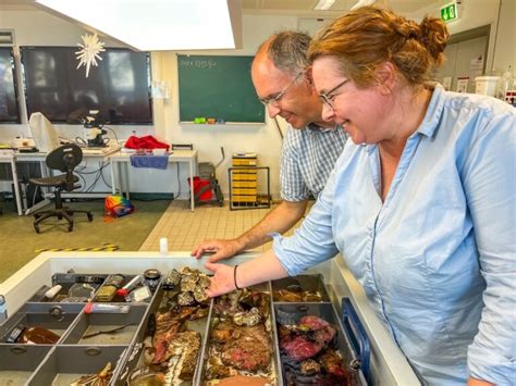 Helgoland Sehensw Rdigkeiten Traumorte Und Geheimtipps