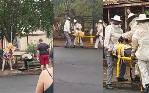 Idoso é atacado por abelhas próximo a ponto de ônibus na zona Norte de