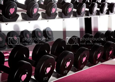 Pink Iron Gym In 2024 Iron Gym Home Gym Design Pink Gym