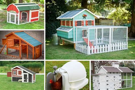 Ultimate Backyard Chicken Coop Build How To Diy 58 Off