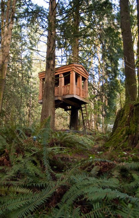 This is something I saw once.: Treehouse Point Weekend, Fall City