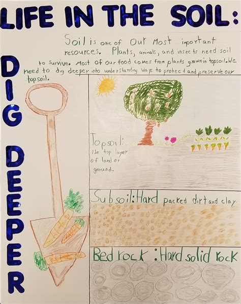 Soil Erosion Prevention Poster