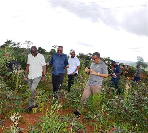 Maelezo Mpango Kabambe Upelekaji Nishati Vijijini Wabainishwa