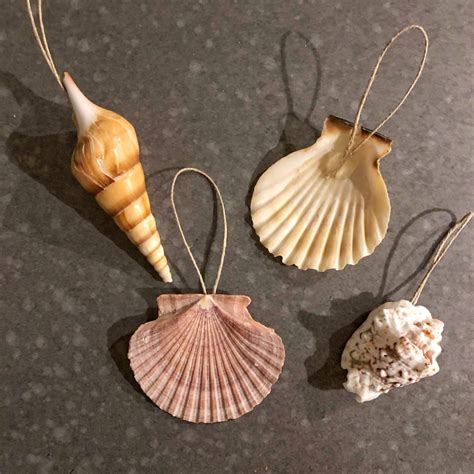 Diy Seashell Ornament Coastal Kelder