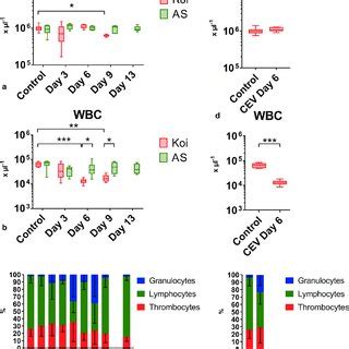 Blood Cells In Carp From Different Carp Strains Under Cev Infection