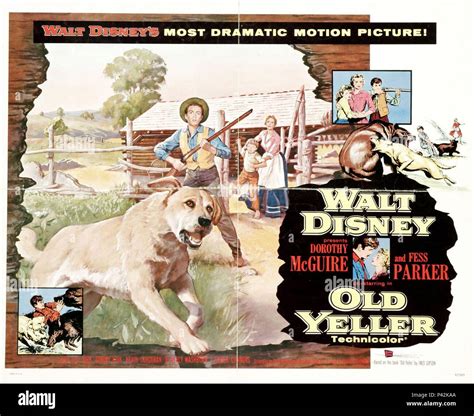 🏆 Old yeller book genre. Old Yeller Book Series (In Order 1. 2022-10-25