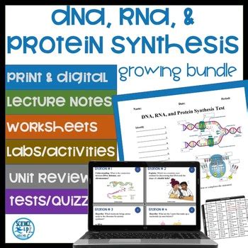 Dna And Protein Synthesis Presentation Teaching Resources TPT