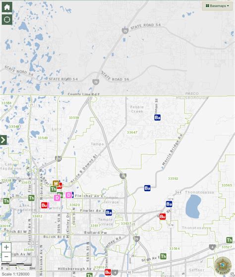 Tampa Crime Scene Photos and Mugshots - Stay Up to Date 1
