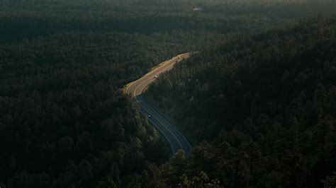 Wallpaper forest, road, view from above, trees, height hd, picture, image