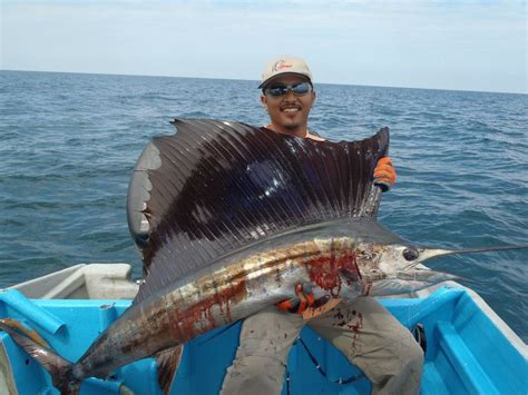 Fishing Xpdc Rompin Sailfish Ikan Layaran Rompin