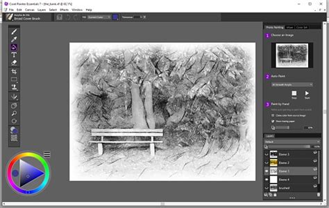 Corel painter essentials - thereallasopa