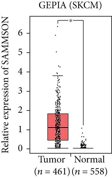 Lncrna Sammson Is Upregulated In Human Melanoma Tissues And Cell Lines