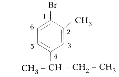 Telugu Write The Structures Of The Following Organic Halides B