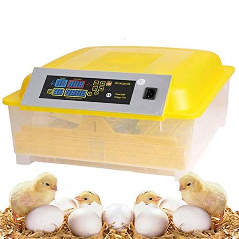 Best Egg Incubators For Chicken Reptiles Birds And More