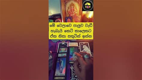 ඔයාගේ Crush එක ඔයාට ලැබෙයි ද Short Video Tarot Sinhala Youtube