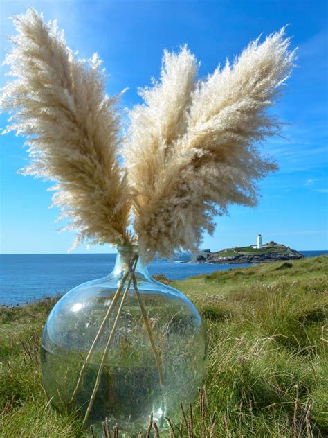 Bannifll Inch Natural Pampas Grass Decor Tall With Stems Perfect