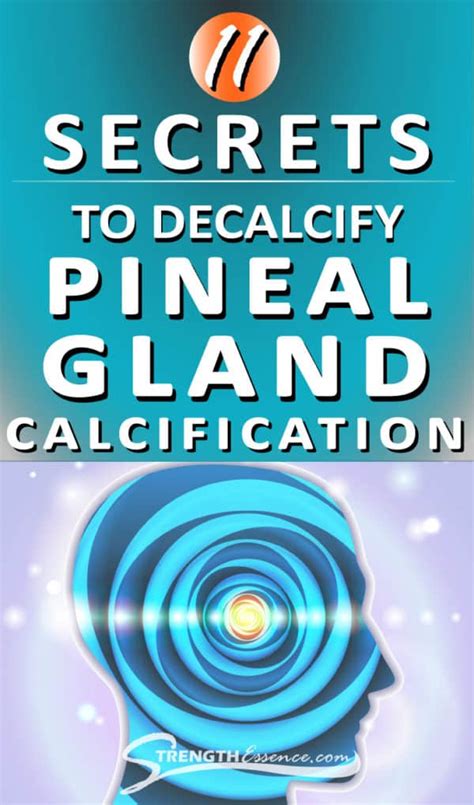 Decalcify Pineal Gland Calcification Strength Essence