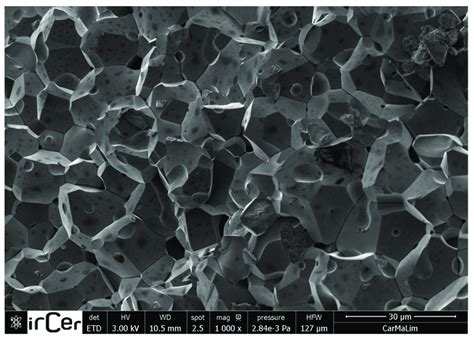 Scanning Electron Microscopy Sem Of The Mnzn Ferrite Revealing The