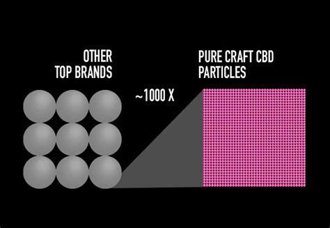 What Is The First Pass Effect & How Can I Outsmart It With My CBD ...