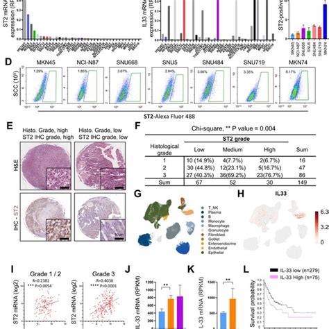 St And Il Expression In Human Gc And Its Clinical Significance A