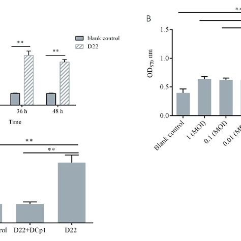 Effects Of Phage Dcp1 On The Biofilm Of C Perfringens D22 P