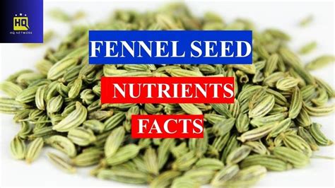 Health Benefits Of Fennel Seeds Amazing Benefits Of Fennel Seeds