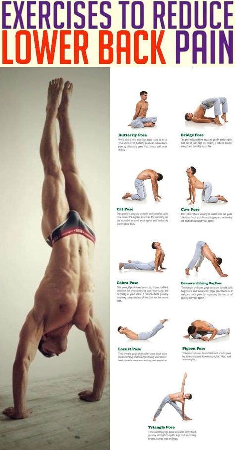 19 idées de Dos en 2021 | exercices de fitness, exercice, exercices de yoga