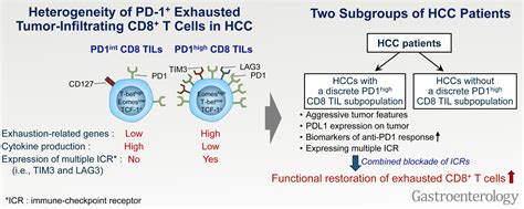 Association Between Expression Level Of PD1 By Tumor Infiltrating CD8