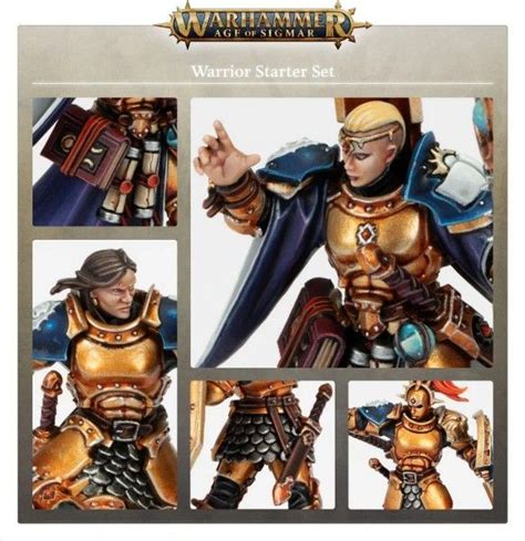 Warhammer Age Of Sigmar Warrior Starter Set Hobbies