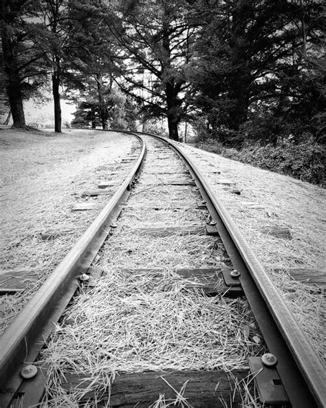 Premium Photo Diminishing Perspective Of Railroad Tracks Amidst Trees