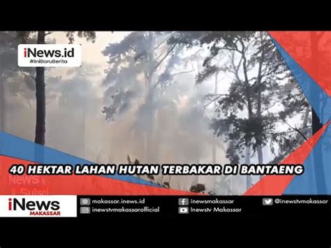 Hektar Lahan Hutan Terbakar Di Kabupaten Bantaeng Youtube