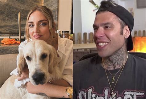 Fedez Su Paloma Anche Io Avevo Un Golden Retriever Radio