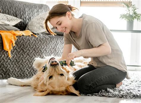 Linda Chica Con Perro Recuperador De Oro Foto De Archivo Imagen De