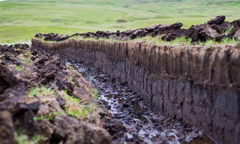 peat   major grocery sustainability issue westpak