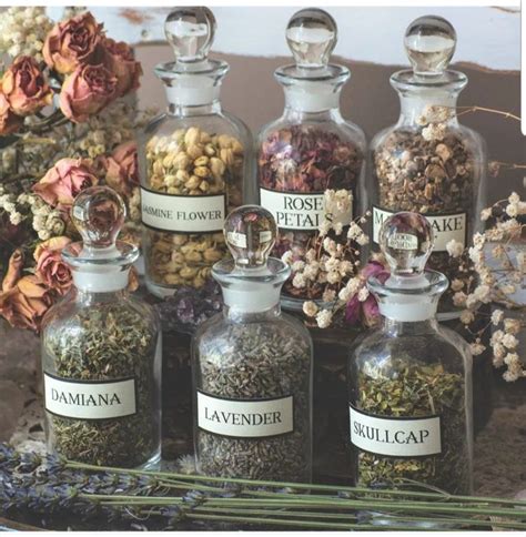 Pin by Krystle Rose on Home Decor and DIY | Apothecary bottles ...