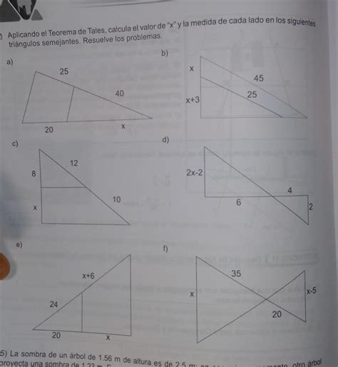 4 Aplicando El Teorema De Tales Calcula El Valor De X Y La Medida