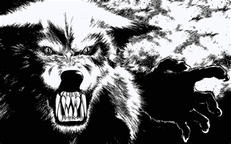 Wolf Beast Wallpapers Wolf Wallpaperspro