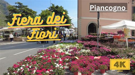 Fiera Dei Fiori Piancogno 2023 Flowers Festival YouTube