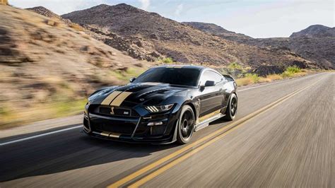 Shelby Is Building Hp Rental Mustangs For Hertz Torque News