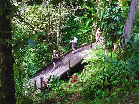 Hawaii Tropical Bioreserve And Garden Papaikou All You Need To Know